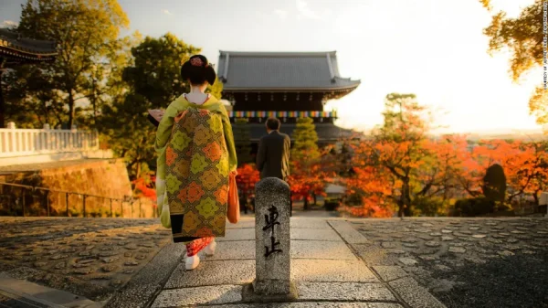 Đi Kyoto Tự Túc: Hành Trình Đắm Mình Trong Cố Đô Ngàn Năm