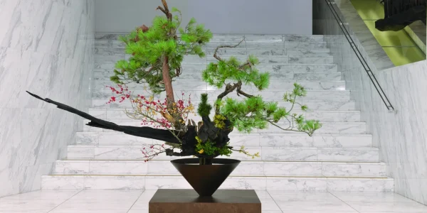 Nghệ thuật cắm hoa Ikebana: Hòa Điệu Tâm Hồn Với Thiên Nhiên