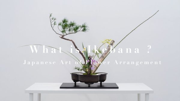 Nghệ thuật cắm hoa Ikebana: Hòa Điệu Tâm Hồn Với Thiên Nhiên