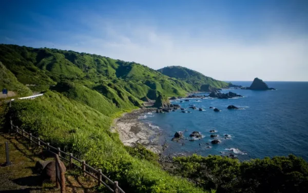 Hoa Đỗ Quyên Nhật Bản (Tsutsuji)