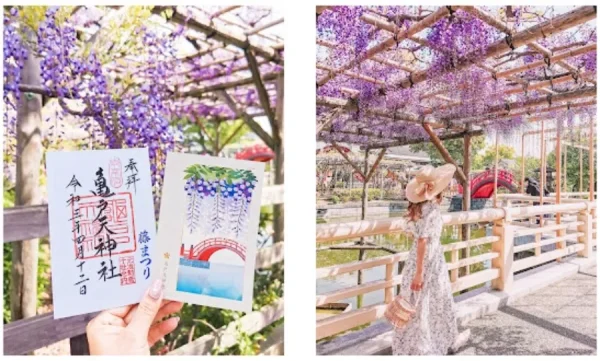 Công viên Kameido Tenjin | địa điểm ngắm hoa tử đằng Nhật Bản