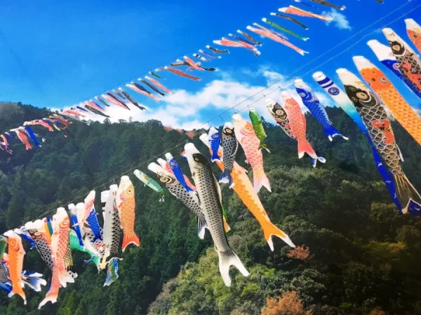 Lễ hội Cá Chép Koinobori Matsuri