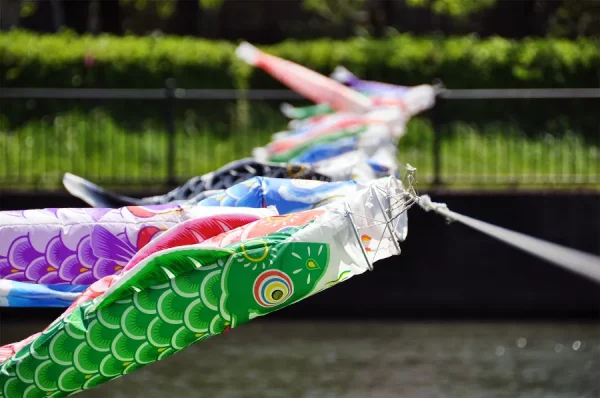 Lễ hội Cá Chép Koinobori Matsuri