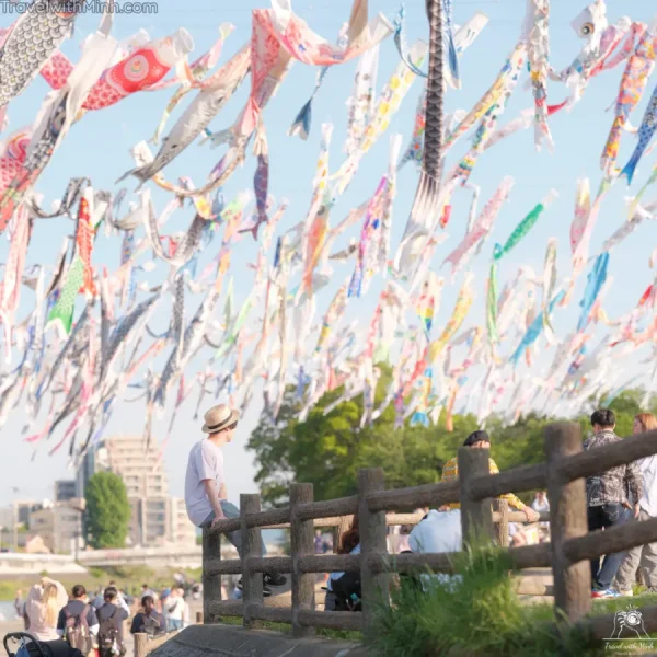 Lễ hội Cá Chép Koinobori Matsuri