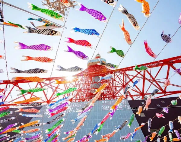 Lễ hội Cá Chép Koinobori Matsuri