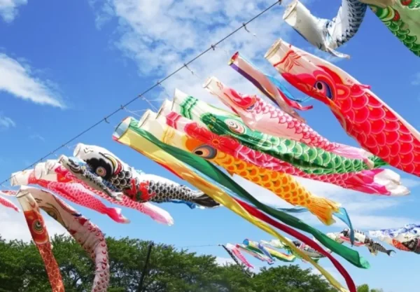 Lễ hội Cá Chép Koinobori Matsuri