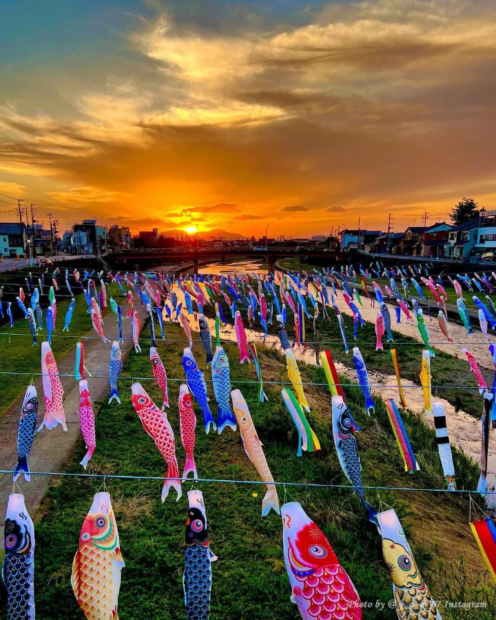Lễ hội Cá Chép Koinobori Matsuri