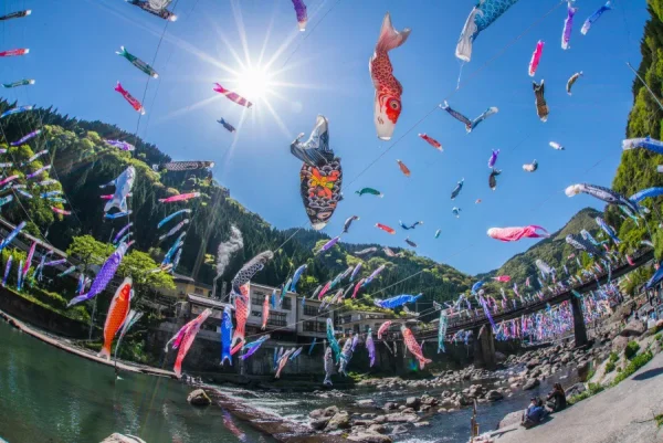 Lễ hội Cá Chép Koinobori Matsuri
