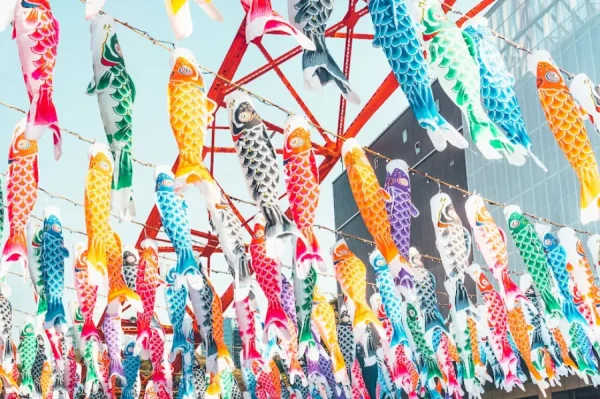 Lễ hội Cá Chép Koinobori Matsuri