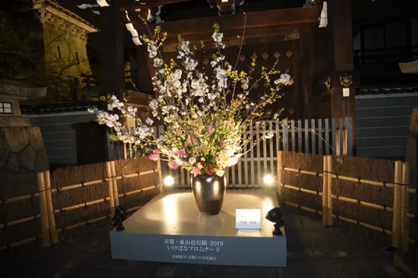 Lễ Hội Ánh Sáng Higashiyama Hanatouro: Khúc Ca Huyền Ảo Giữa Đêm Kyoto Cổ Kính Lễ Hội Ánh Sáng Higashiyama Hanatouro