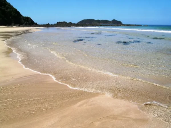 Ushibuka Haiya Matsuri: Lễ Hội Của Những Vũ Điệu Biển Cả Ushibuka Haiya Matsuri: Lễ Hội Của Những Vũ Điệu Biển Cả