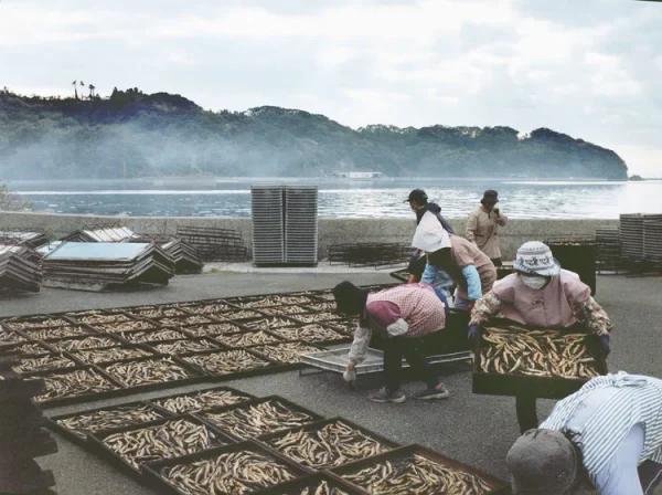 Ushibuka Haiya Matsuri: Lễ Hội Của Những Vũ Điệu Biển Cả Ushibuka Haiya Matsuri: Lễ Hội Của Những Vũ Điệu Biển Cả