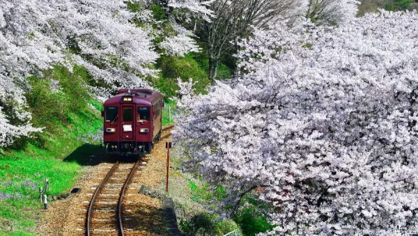 Watarase Keikoku Railway