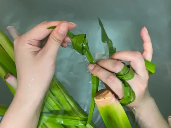 Lễ hội Cá Chép Koinobori Matsuri