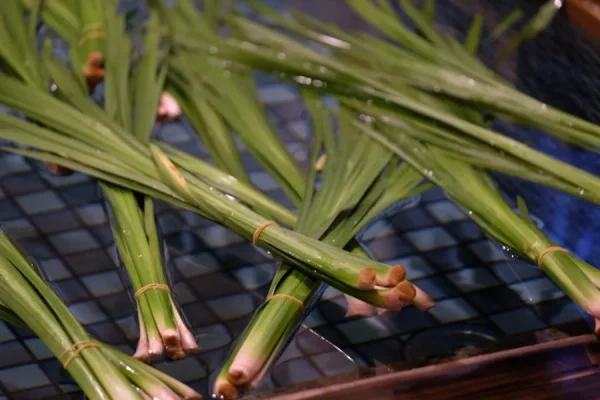 Lễ hội Cá Chép Koinobori Matsuri
