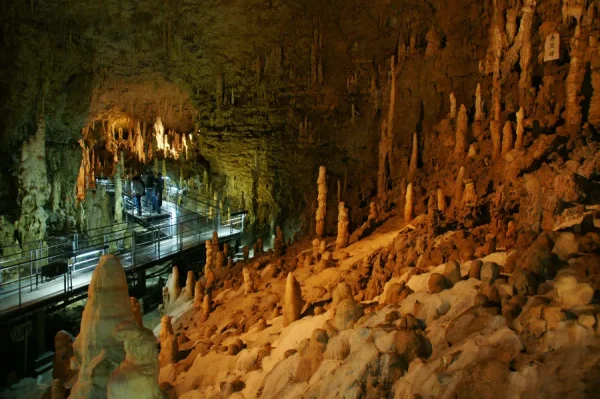 Gyokusendo Cave: Hành Trình Khám Phá Okinawa "Trong Lòng Đất"