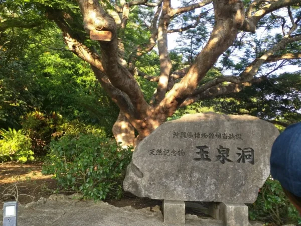 Gyokusendo Cave: Hành Trình Khám Phá Okinawa "Trong Lòng Đất"