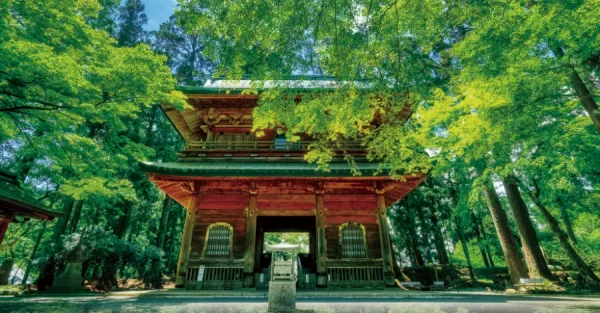 Top 11 địa điểm du lịch Kyoto mùa hè