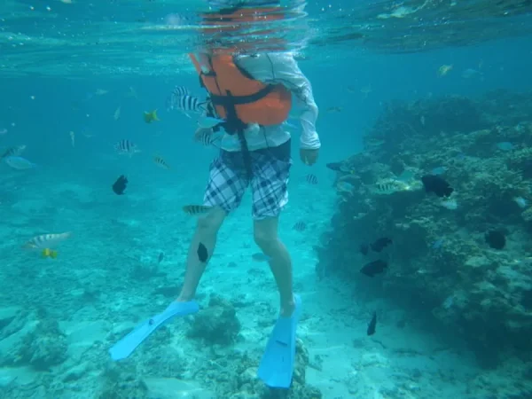 Ikei Island (Okinawa)