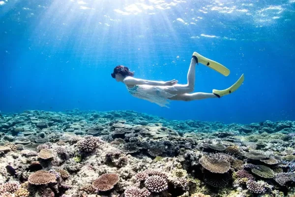 Ishigaki Island: Khám Phá Thiên Đường Nhiệt Đới Tại Nhật Bản