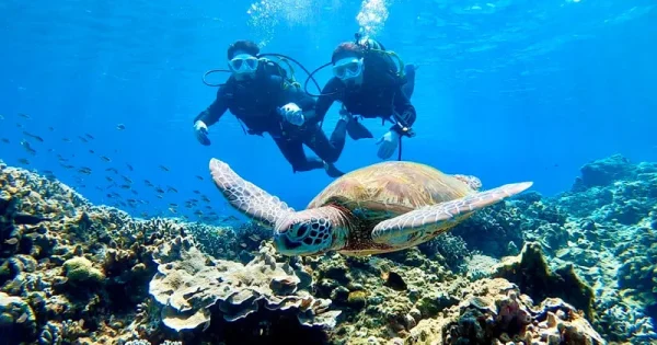 Ishigaki Island: Khám Phá Thiên Đường Nhiệt Đới Tại Nhật Bản