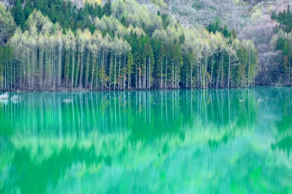 Top 11 địa điểm du lịch Kyoto mùa hè