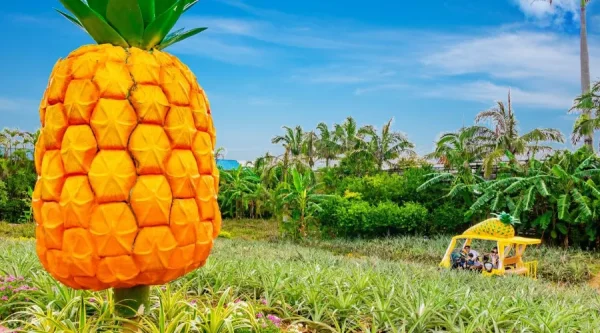 Nago Pineapple Park: Thiên Đường Dứa Xanh Mát Giữa Lòng Okinawa