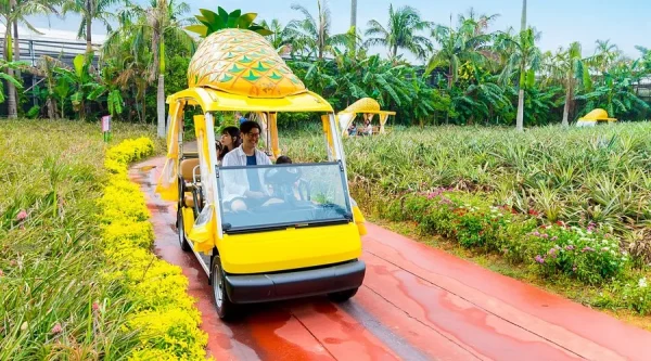 Nago Pineapple Park: Thiên Đường Dứa Xanh Mát Giữa Lòng Okinawa