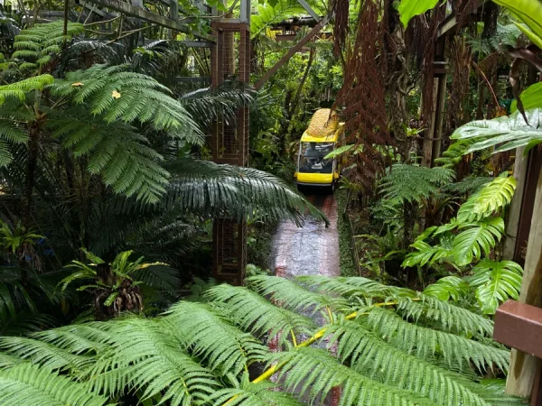 Nago Pineapple Park: Thiên Đường Dứa Xanh Mát Giữa Lòng Okinawa