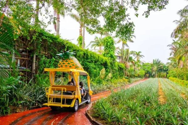 Nago Pineapple Park: Thiên Đường Dứa Xanh Mát Giữa Lòng Okinawa