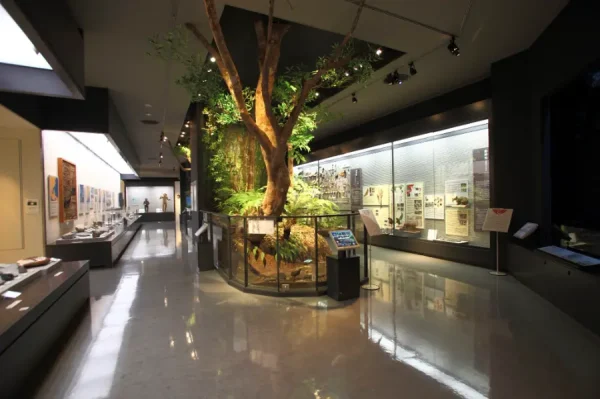 Okinawa Prefectural Museum and Art Museum