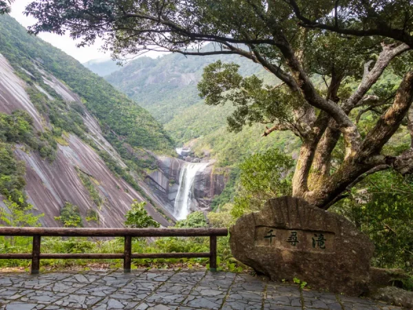 Yakushima Island: Khá Phá Bí Ẩn Của Vùng Đất Nguyên Sơ