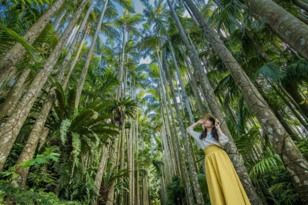 Southeast Botanical Gardens