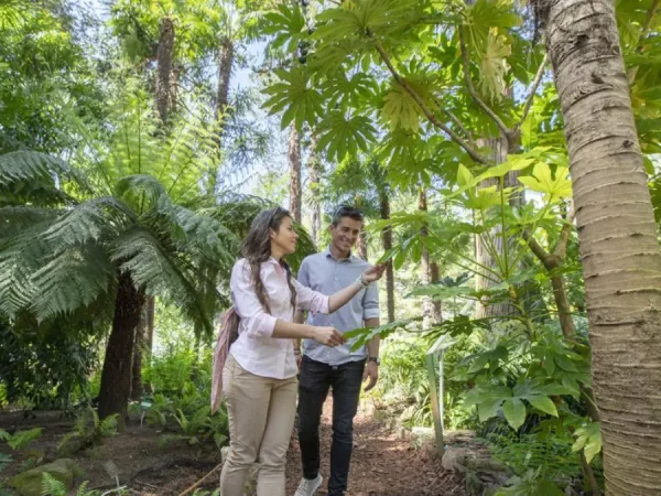 Southeast Botanical Gardens