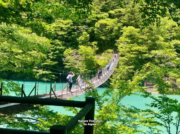 Thung lũng Sumatakyo (Sumatakyo Gorge)
