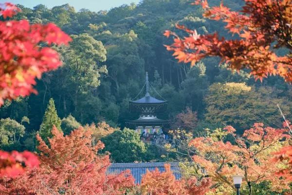 Khám Phá Chùa Eikando: Viên Ngọc Đỏ Rực Rỡ tại Kyoto