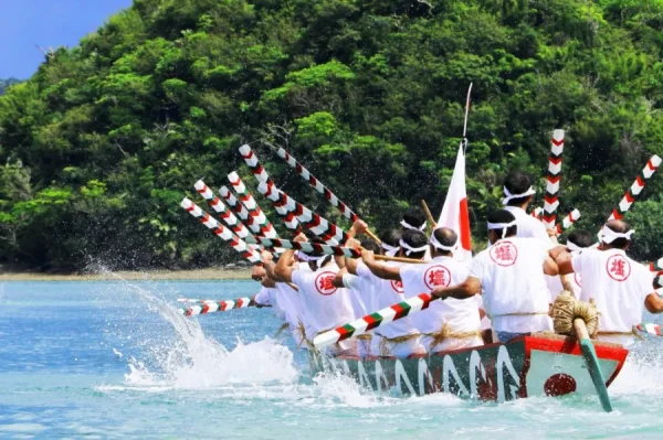 Yakushima Island: Khá Phá Bí Ẩn Của Vùng Đất Nguyên Sơ