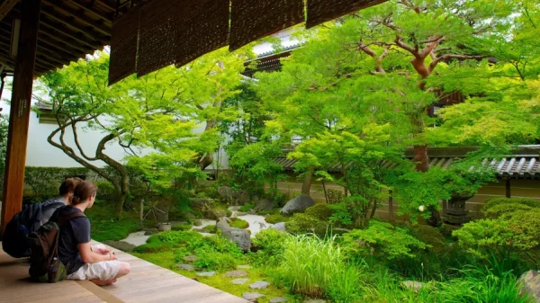 Khám Phá Chùa Eikando: Viên Ngọc Đỏ Rực Rỡ tại Kyoto