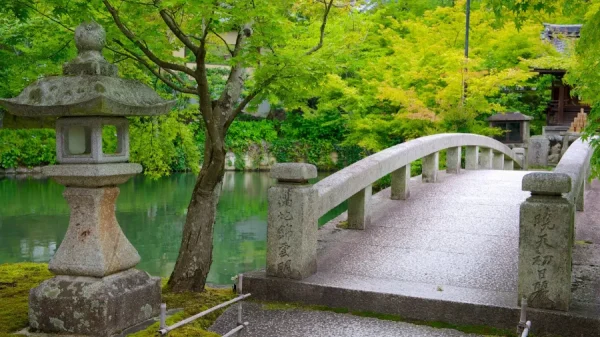 Khám Phá Chùa Eikando: Viên Ngọc Đỏ Rực Rỡ tại Kyoto