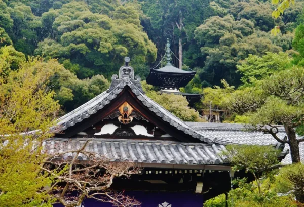 Khám Phá Chùa Eikando: Viên Ngọc Đỏ Rực Rỡ tại Kyoto