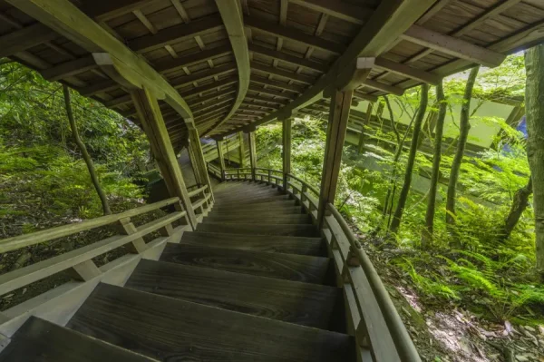 Khám Phá Chùa Eikando: Viên Ngọc Đỏ Rực Rỡ tại Kyoto