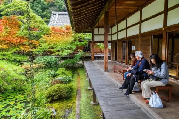 Khám Phá Chùa Eikando: Viên Ngọc Đỏ Rực Rỡ tại Kyoto