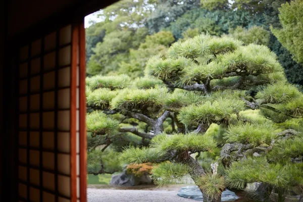 Vườn Ritsurin: Viên Ngọc Tuyệt Mỹ Tại Shikoku Nhật Bản