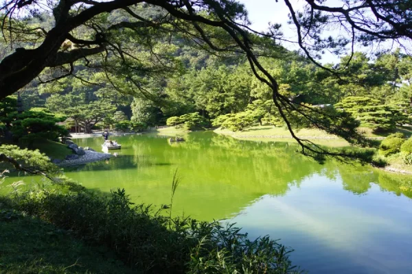 Vườn Ritsurin: Viên Ngọc Tuyệt Mỹ Tại Shikoku Nhật Bản