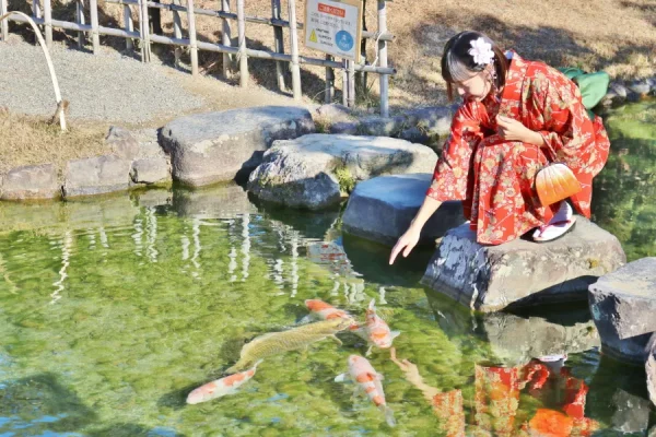 Vườn Ritsurin: Viên Ngọc Tuyệt Mỹ Tại Shikoku Nhật Bản