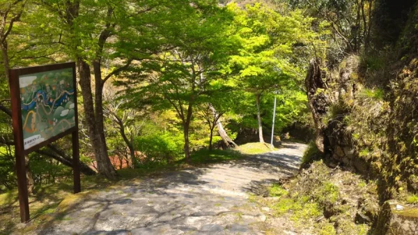 Top 11 địa điểm du lịch Kyoto mùa hè