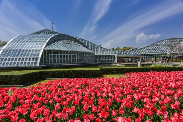 Top 11 địa điểm du lịch Kyoto mùa hè