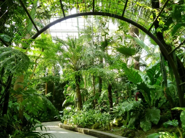 Top 11 địa điểm du lịch Kyoto mùa hè