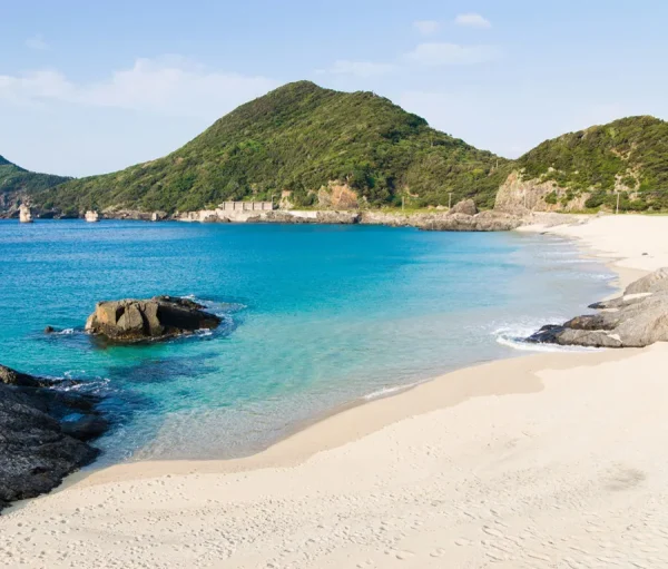Yakushima Island: Khá Phá Bí Ẩn Của Vùng Đất Nguyên Sơ
