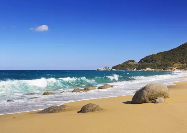 Yakushima Island: Khá Phá Bí Ẩn Của Vùng Đất Nguyên Sơ
